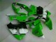 Affordable 2000-2002 Green Black Kawasaki ZX6R Motorbike Fairing UK Affordable 2000-2002 Green Black Kawasaki ZX6R Motorbike Fairing UK
