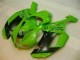 Affordable 2007-2008 Green Black Dunlop Kawasaki ZX6R Motorbike Fairing Kits UK Affordable 2007-2008 Green Black Dunlop Kawasaki ZX6R Motorbike Fairing Kits UK
